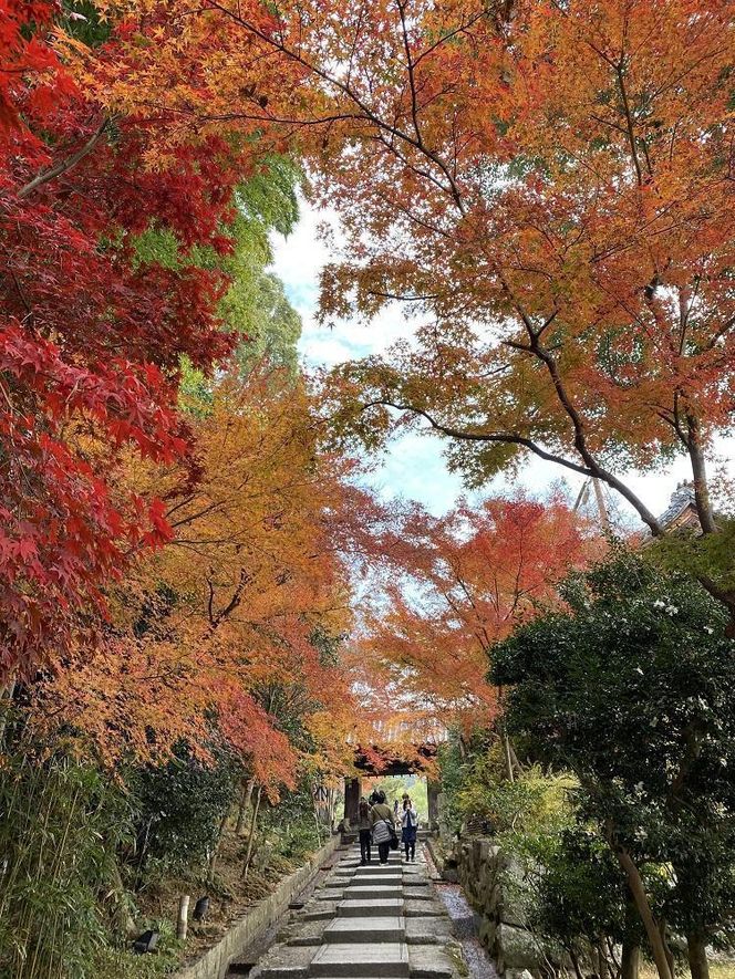 【HOTEL VMG RESORT KYOTO】ギフト券 3万円分［ 京都 東山 分散型ホテル 京のまち全体がホテル ユニークなコンセプト ホテル 宿泊 ギフト券 割引券 割引 チケット 宿泊券 人気 おすすめ ホテル 宿泊 旅行 観光 グルメ ふるさと納税 ］ 261009_A-LT004