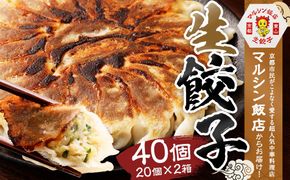 【マルシン飯店】京都・超行列店の生餃子４０個入り（２０個×２箱） 261009_A-MQ001