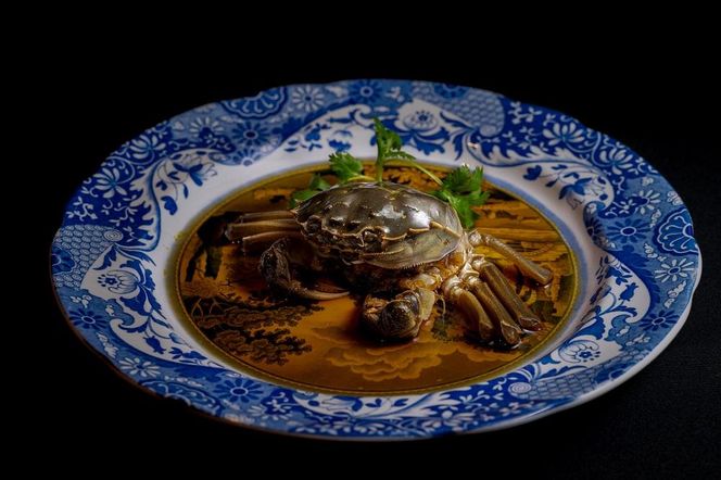 【中国料理 伯楽家常菜】≪ディナー≫「徳」コースお食事券2名様分（ぐるなびセレクション） 261009_A-NB078