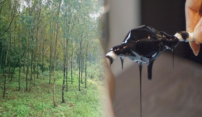 【鹿田喜造漆店】金継ぎ1日体験 お土産付き2時間プラン 1名様分 261009_A-NX002