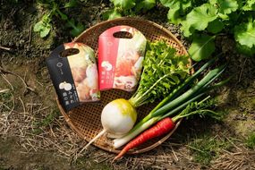 【新食工業】京野菜入りこだわりセット（鍋の素・京野菜・スムージー） 261009_A-PB001