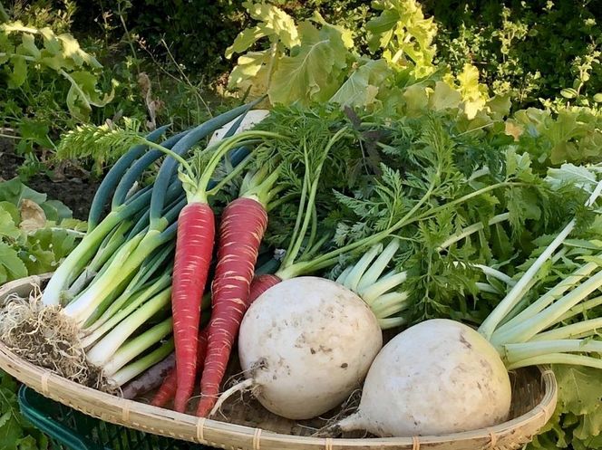 【新食工業】京野菜入りこだわりセット（鍋の素・京野菜・スムージー） 261009_A-PB001