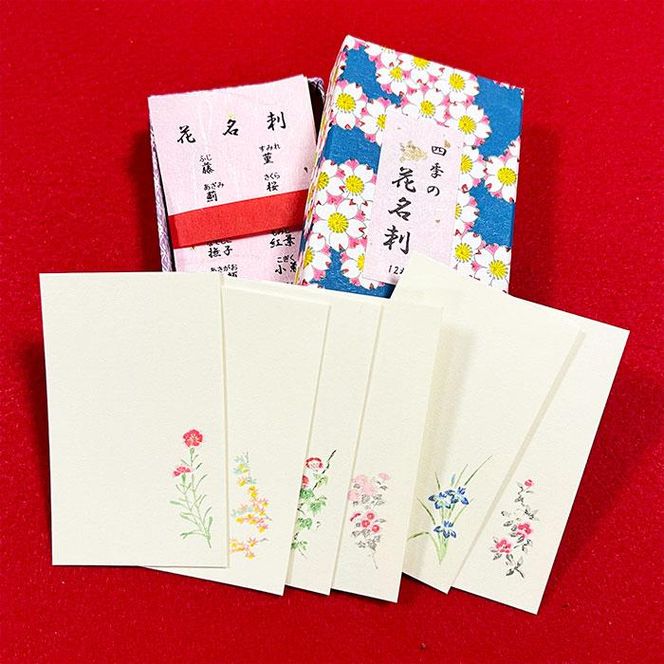 【福井朝日堂】京舞妓「ポチ袋」「花名刺」詰め合わせセット 261009_A-PL001