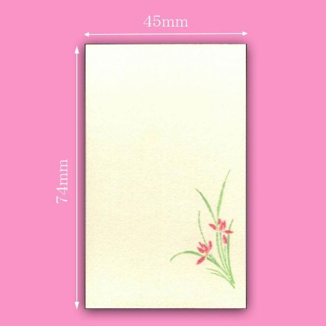 【福井朝日堂】京舞妓「ポチ袋」「花名刺」詰め合わせセット 261009_A-PL001