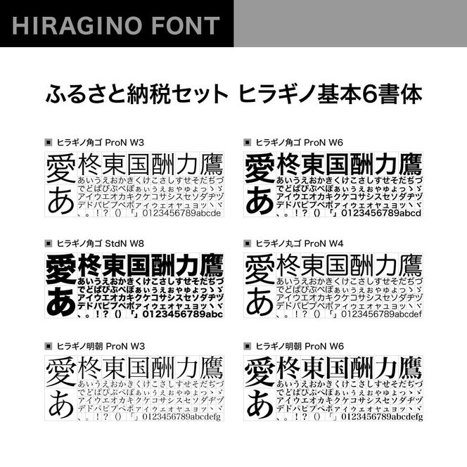【ヒラギノフォント】ふるさと納税セット ヒラギノ基本6書体（ライセンス版）SCREEN 261009_A-QP002