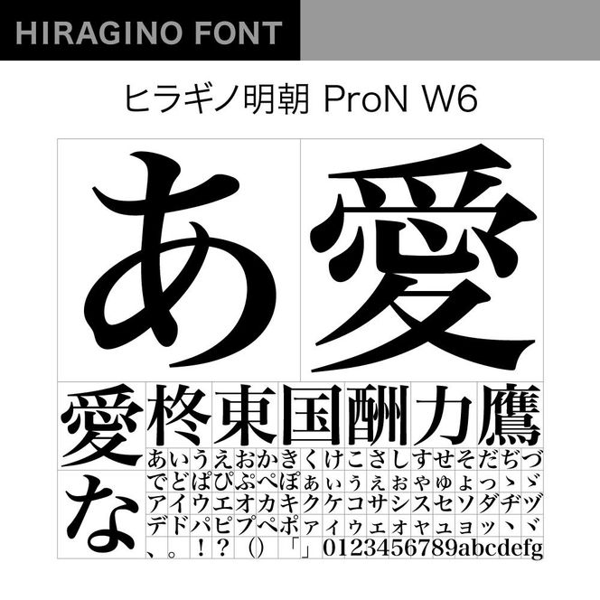 【ヒラギノフォント】ふるさと納税セット ヒラギノ基本6書体（ライセンス版）SCREEN 261009_A-QP002