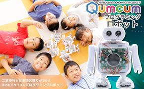 【CRETARIA】クムクム エントリーモデル QX-001R3J 261009_A-QU001