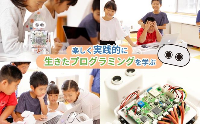 【CRETARIA】クムクム エントリーモデル QX-001R3J 261009_A-QU001