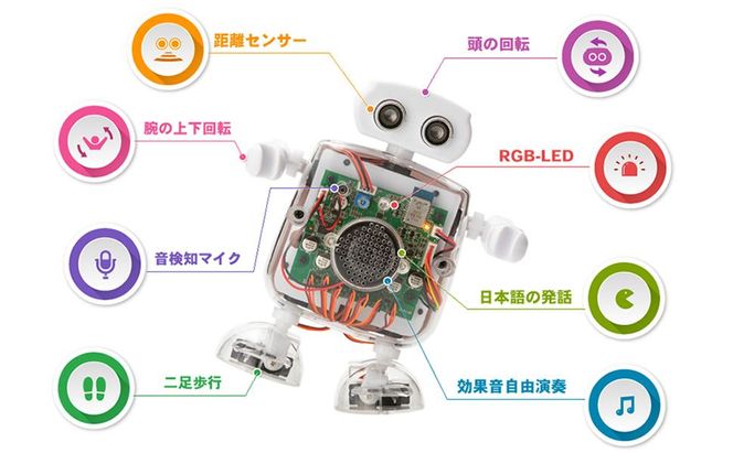 【CRETARIA】クムクム プロモデル QX-001R321J 261009_A-QU002