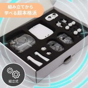 【CRETARIA】クムクム プロモデル QX-001R321J 261009_A-QU002