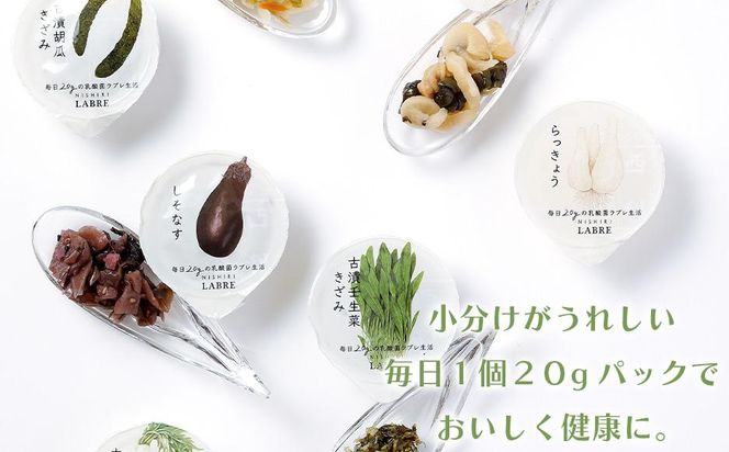 【高島屋選定品】京つけもの西利 乳酸菌ラブレ20g（20日間セット）10種各2個/計20個 261009_A-RG021