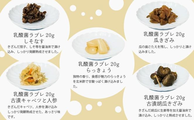 【高島屋選定品】京つけもの西利 乳酸菌ラブレ20g（20日間セット）10種各2個/計20個 261009_A-RG021