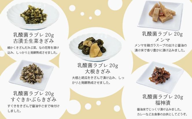 【高島屋選定品】京つけもの西利 乳酸菌ラブレ20g（20日間セット）10種各2個/計20個 261009_A-RG021