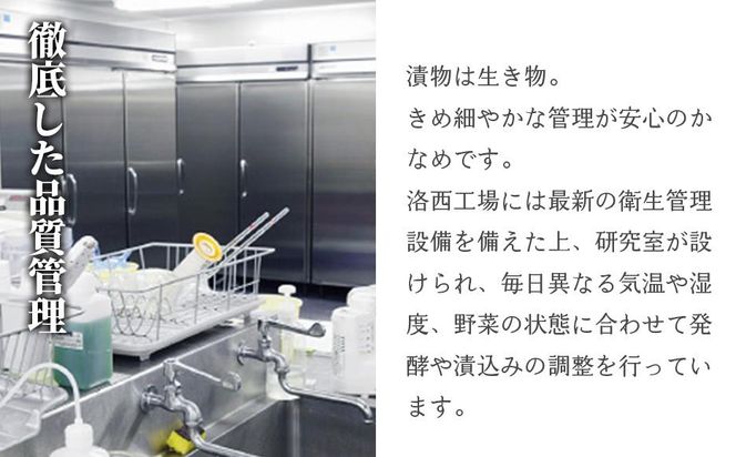 【高島屋選定品】京つけもの西利 乳酸菌ラブレ20g（20日間セット）10種各2個/計20個 261009_A-RG021