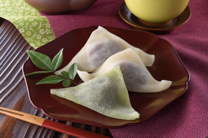 京都府京都市 日本旅行 地域限定旅行クーポン90,000円分(ホテル、旅館、宿泊)［ 京都 旅行 クーポン ホテル 旅館 宿泊 観光 グルメ 人気 おすすめ ふるさと納税 ］ 261009_A-TL004