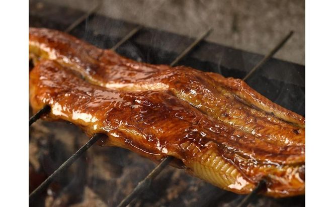 ys{sszyy䊈V tXzȂ̊2ƎRσZbg 261009_A-UG001