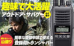 【2024年新商品】トランシーバー WED-NO-301【ウェッジ】 261009_A-UR003