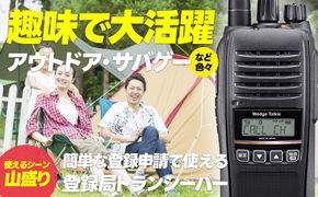 トランシーバー WED-NO-301 1台 分離イヤホン【ウェッジ】 261009_A-UR004