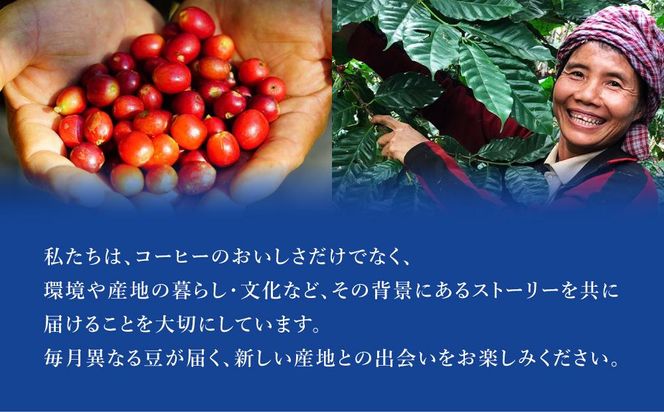 産地を旅するコーヒー定期便 全６回【豆】 261009_A-UY003