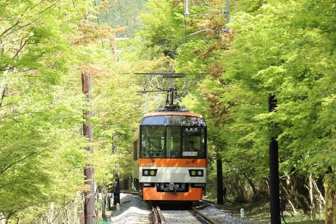 【叡山電車】叡山電車1日乗車券「えぇきっぷ」2枚セット 261009_A-VC002