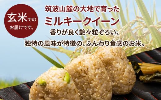 【先行予約】令和6年産 茨城県産 ミルキークイーン 玄米（5kg×1袋） | 原料米調整地:茨城県土浦市 便利な少量5kgでのお届け。このお米は石抜き機、色彩選別機の処理済みです。※離島への配送不可　※2024年9月上旬～2025年8月上旬頃より順次発送予定