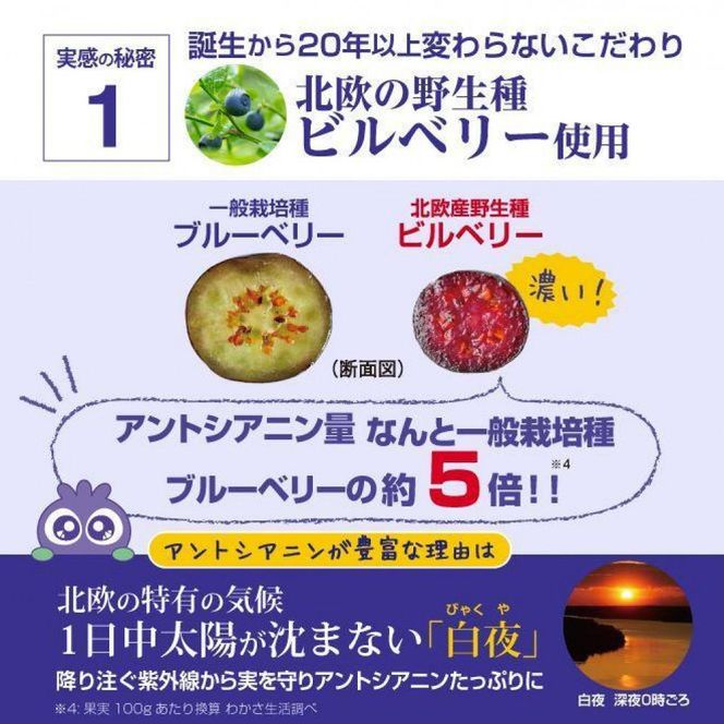 【わかさ生活】ブルーベリーアイ6袋セット(半年分)｜健康 サプリメント ブルーベリー［ 京都 健康 オールインワンサプリメント ブルーベリーアイ ひとみの健康 人気 おすすめ 健康食品 お取り寄せ 通販 ふるさと納税 ］ 261009_A-WL002