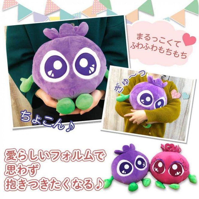 【わかさ生活】ブルブルくんぬいぐるみセット（ブルブルくんぬいぐるみ、アイアイちゃんぬいぐるみ）［ 京都 サプリ ブルーベリーアイ 売上No.1 人気 おすすめ ぬいぐるみ かわいい 健康 お取り寄せ 通販 ふるさと納税 ］ 261009_A-WL004