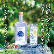 【わかさ生活】ブルーベリードライジン「Berry&Berry」700ml×1本 アルコール度数45度［ 京都 サプリ ブルーベリーアイ 売上No.1 人気 おすすめ お酒 酒 アルコール ジン 健康 お取り寄せ 通販 ふるさと納税 ］ 261009_A-WL006