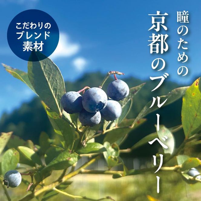 【わかさ生活】ブルーベリードライジン「Berry&Berry」700ml×1本 アルコール度数45度［ 京都 サプリ ブルーベリーアイ 売上No.1 人気 おすすめ お酒 酒 アルコール ジン 健康 お取り寄せ 通販 ふるさと納税 ］ 261009_A-WL006