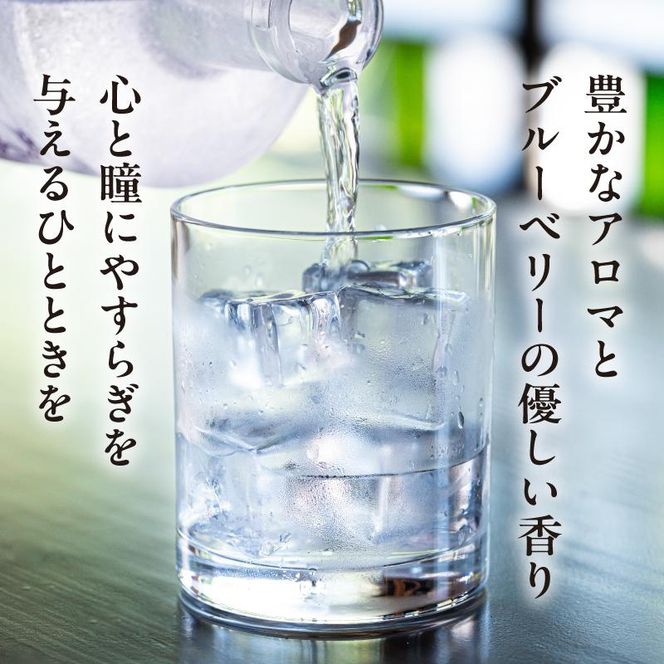 【わかさ生活】ブルーベリードライジン「Berry&Berry」700ml×1本 アルコール度数45度［ 京都 サプリ ブルーベリーアイ 売上No.1 人気 おすすめ お酒 酒 アルコール ジン 健康 お取り寄せ 通販 ふるさと納税 ］ 261009_A-WL006