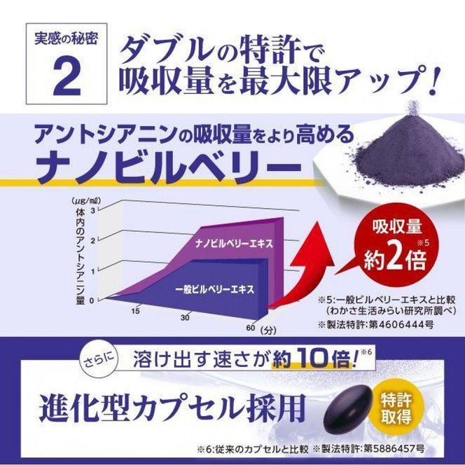 【わかさ生活】ブルーベリーアイ1袋(1ヶ月分)｜健康 サプリメント ブルーベリー［ 京都 健康 オールインワンサプリメント ブルーベリーアイ ひとみの健康 人気 おすすめ 健康食品 お取り寄せ 通販 ふるさと納税 ］ 261009_A-WL011