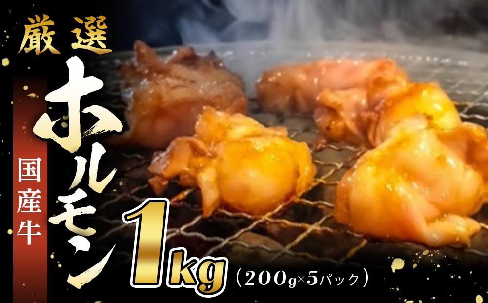[エスイー]厳選国産牛ホルモン200g×5パック 計1kg[ 京都 食肉卸 自慢の肉質 ホルモン もつ 大容量 小分け 人気 おすすめ 肉 お肉 牛肉 もつ鍋 焼肉 お取り寄せ 通販 送料無料 ギフト ふるさと納税 ] 261009