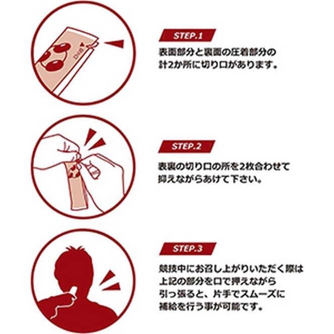 ＜定期便・年4回＞ 【鼓月】エネルギー補給羊羹 anpower 3箱（5本入×3） スポーツ アミノ酸 補給食 ランニング トレーニング アウトドア 261009_B-FK89