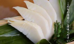 予約受付【筍農家】京都産 朝堀り 湯がき たけのこ優秀品1KG(3-5本)皮なし [ 京都 筍専門店 たけのこ 朝掘り直送 新鮮 人気 おすすめ おいしい タケノコ 季節限定 お取り寄せ 通販 送料無料 ふるさと納税 ] 261009_B-MF07