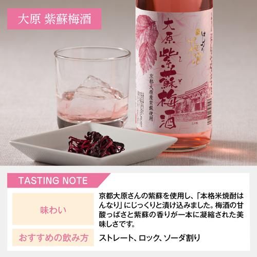 【リカーマウンテン】梅酒セット はんなり京梅酒 180ml×5本  飲み比べセット 北川本家［ 京都 お酒 梅酒 梅 リカマン 人気 おすすめ 定番 おいしい ギフト プレゼント 贈答 ご自宅用 お取り寄せ ］ 261009_B-QF05