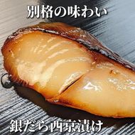 【京の魚匠 ぼんち】〈別格の味わい〉特選銀だら西京漬け5切れ詰め合わせ 261009_B-QG20