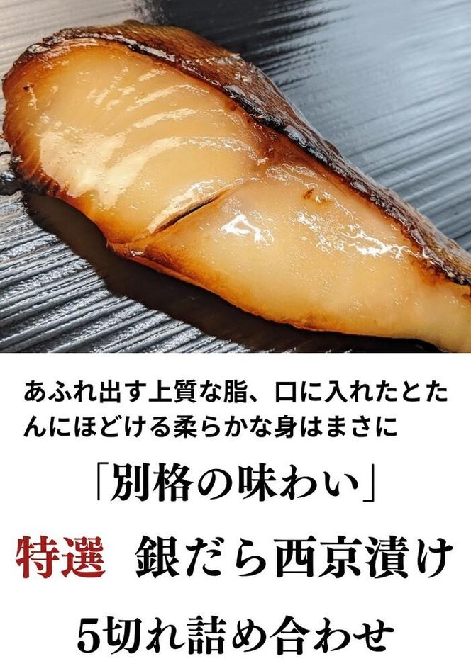 【京の魚匠 ぼんち】〈別格の味わい〉特選銀だら西京漬け5切れ詰め合わせ 261009_B-QG20