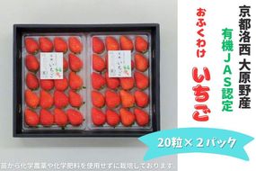 ＜予約受付＞【オーガニックnico】おふくわけいちご　＜京都洛西大原野産　有機JAS認定＞ 261009_B-SR01