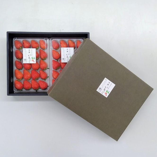 ＜予約受付＞【オーガニックnico】おふくわけいちご　＜京都洛西大原野産　有機JAS認定＞ 261009_B-SR01