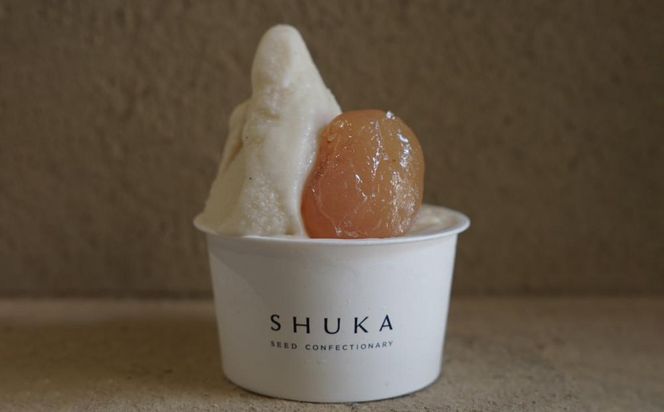 【SHUKA/種菓】種のジェラート18個入(6種)［ 京都 種を愉しむ スイーツ 人気 おすすめ お菓子 菓子 定番 お取り寄せ 通販 送料無料 ふるさと納税 ］ 261009_B-UL04