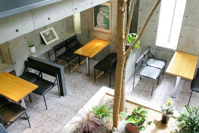 【まざあぐうす】京の抹茶ティラミスチーズケーキ 12cm（2個セット）｜京都 スイーツブランド ケーキ 人気 ［ 全国の催事で大人気 抹茶 ティラミス チーズケーキ おすすめ お菓子 洋菓子 ギフト プレゼント お取り寄せ通販 送料無料 ふるさと納税 ］ 261009_B-VG01