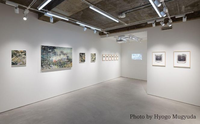 【hakari contemporary】Collectors Ticket - 30,000 JPY 261009_B-VH01