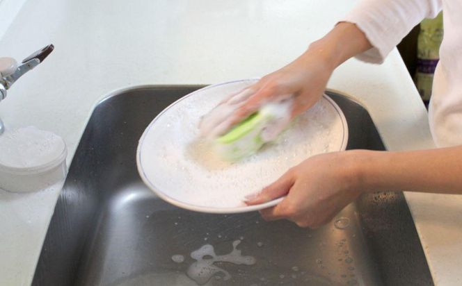 【太田さん家の手づくり洗剤】食器用固形洗剤・レモンオイル配合 700g［ 京都 洗剤 せっけん 人気 おすすめ 太田さん 太田さんのこだわり洗剤 肌にやさしい 洗浄力 石鹸 ふるさと納税 ］ 261009_B-WN02