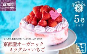 【むしやしない】京都産オーガニックミラクル＊いちご（5号）［ 京都 一乗寺 豆乳 スイーツ ケーキ グルテンフリー ヴィーガン アレルギー対応 人気 おすすめ 苺 いちご ホールケーキ お菓子 お取り寄せ 通販 ふるさと納税 ］ 261009_B-WQ01