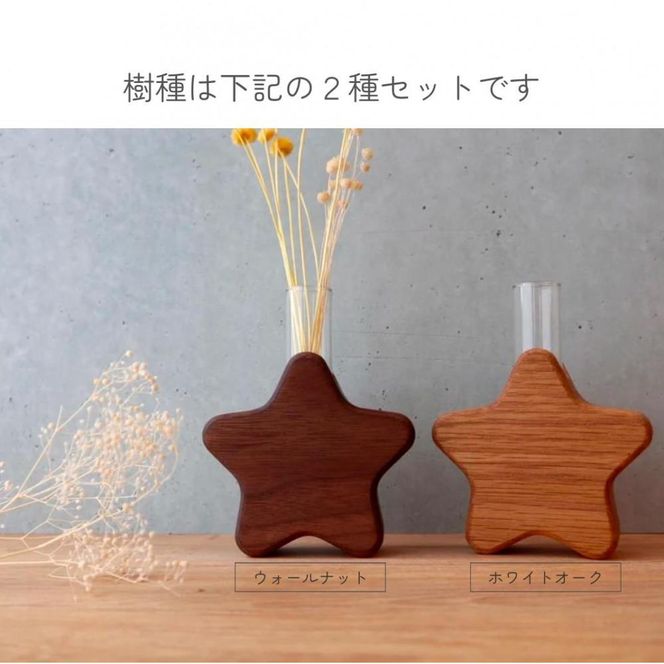 星型花瓶２種セット 272183_CZ020