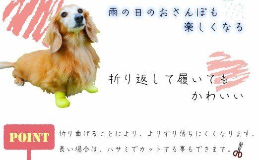 犬用ソックス 「おさんぽソックス」[030M07]