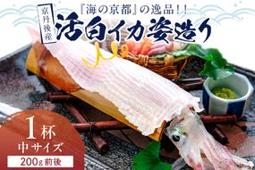 京丹後産『海の京都』の逸品！！　活白イカ姿造り（クリスタル白いか）中サイズ 1杯（200g前後）（2024年6月上旬～発送）　YK00118