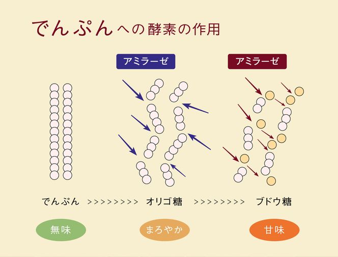 まいにち酵素生活　糀パウダー　プレーン200g【まるみ麹本店】014-002