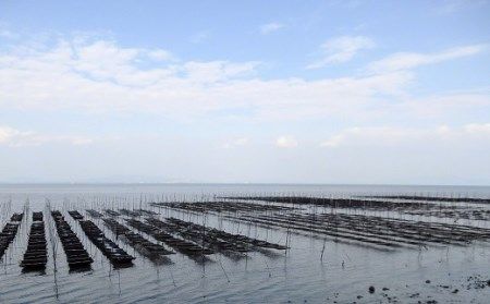 DB042 味の彩セット [ 海苔 のり 焼き海苔 味海苔 明太子 塩 有明海産 ]