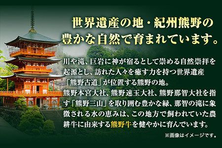 【和歌山県のブランド牛】熊野牛 ロースステーキ 200g×2枚 厳選館《90日以内に出荷予定(土日祝除く)》 和歌山県 日高川町 熊野牛 牛 うし ロース ステーキ---wshg_fgenkloin_90d_22_29000_400g---